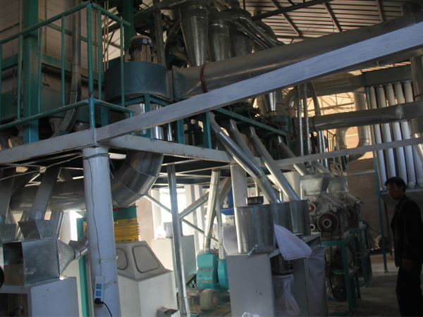 15噸級玉米加工設備